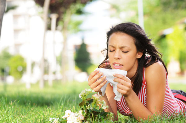 Home Remedies to Treat Seasonal Allergies