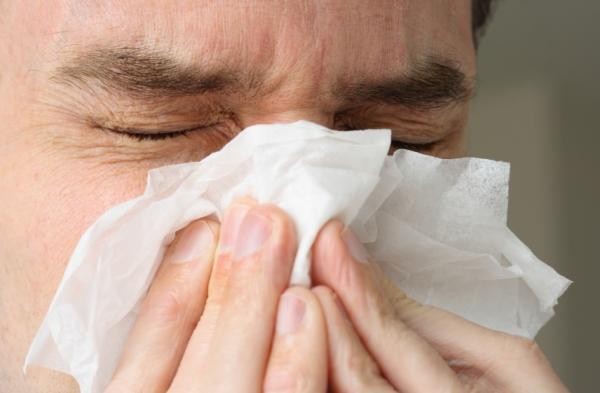 Herbal Remedies to Cure Sinus Infection