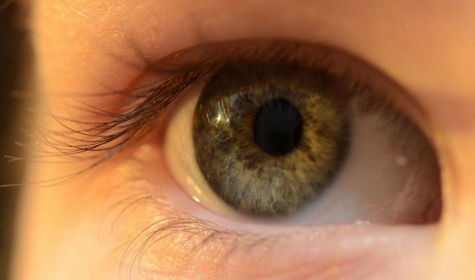 Perfect Vision - 4 Things Your Eyes Tell You About Your Health