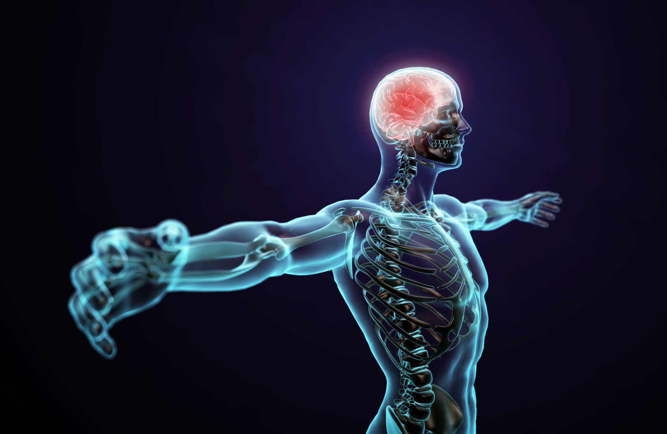 Neurological Recovery Following a Spinal Cord Injury: Important Facts and Information