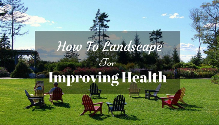 how-to-landscape-for-improving-health