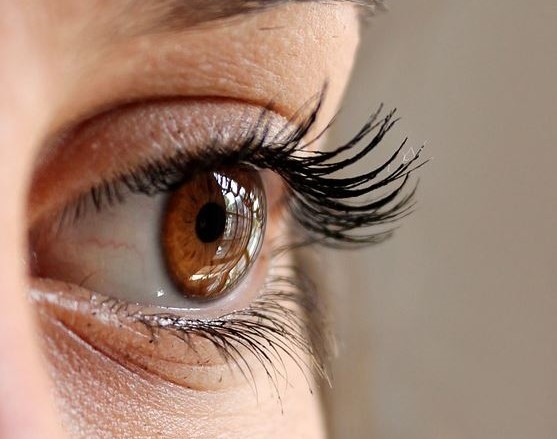 Windows to the Body: What Your Eyes Can Say About Your Health