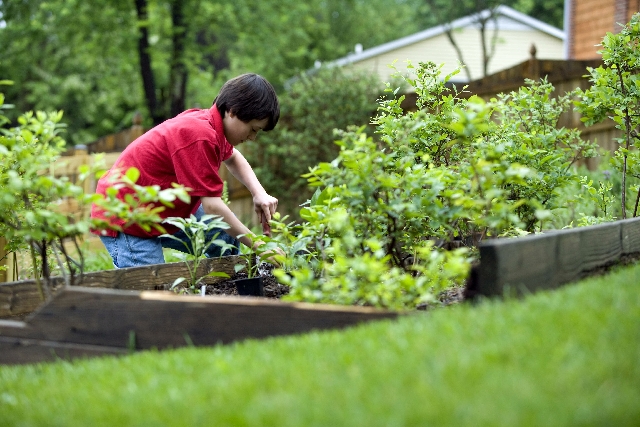 5 Simple Ways to Prevent Gardening Injuries